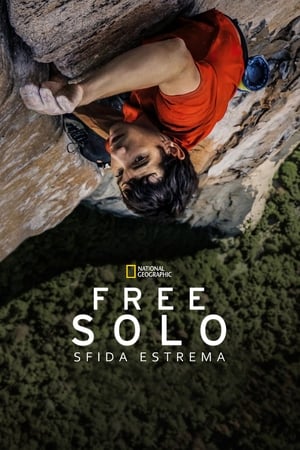 Free Solo poster 2