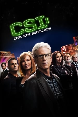 CSI: Crime Scene Investigation, Season 8 poster 2