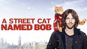 A Street Cat Named Bob image 6