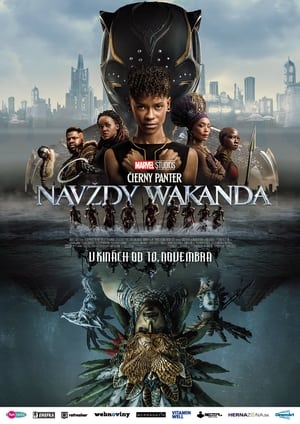 Black Panther (2018) poster 3