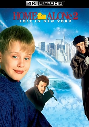 Home Alone poster 3