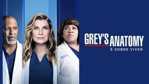 Grey's Anatomy, Season 9 image 2