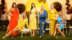 The Real Housewives of Orange County, Season 4 image 3