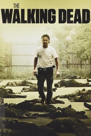 The Walking Dead, Season 11 poster 2