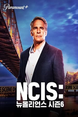 NCIS: New Orleans, Season 7 poster 3