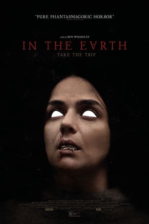 In The Earth poster 2
