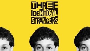Three Identical Strangers image 6