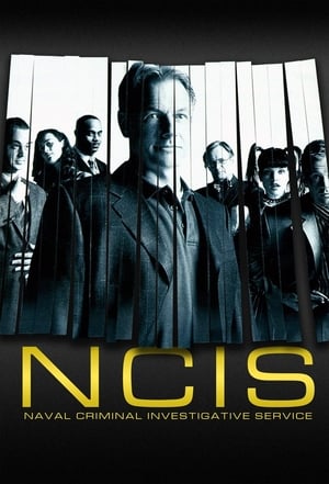 NCIS, Season 11 poster 0