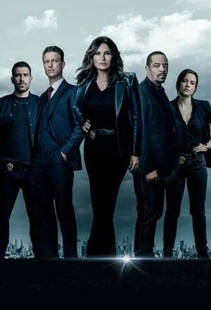 Law & Order: SVU (Special Victims Unit), Season 18 poster 1