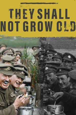 They Shall Not Grow Old poster 2