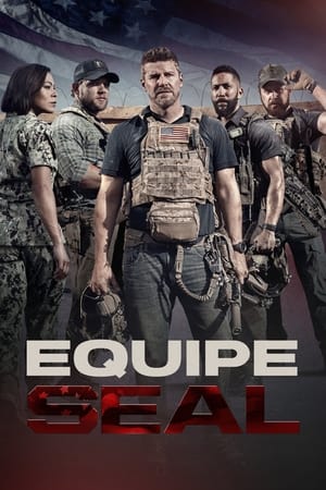 SEAL Team, Season 1 poster 1