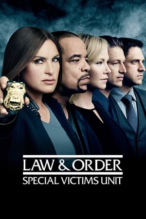 Law & Order: SVU (Special Victims Unit), Season 22 poster 1