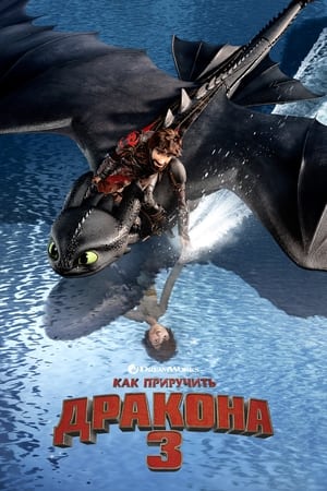 How to Train Your Dragon: The Hidden World poster 4