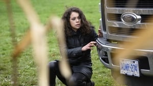Orphan Black, Season 3 - Newer Elements of Our Defense image