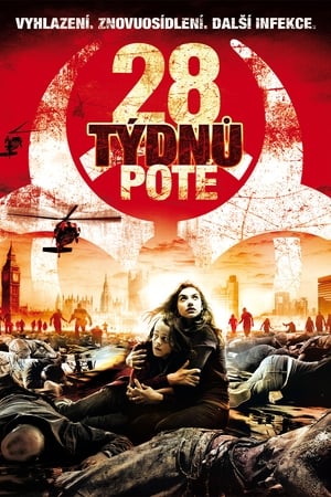 28 Weeks Later poster 1