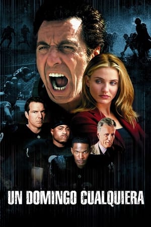Any Given Sunday poster 4