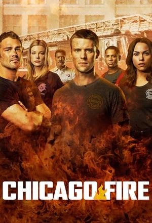 Chicago Fire, Season 10 poster 1
