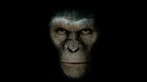 Rise of the Planet of the Apes image 8