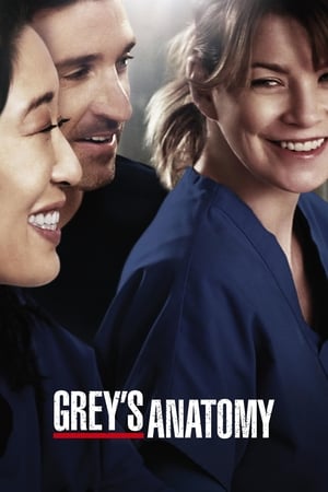 Grey's Anatomy, Season 9 poster 3