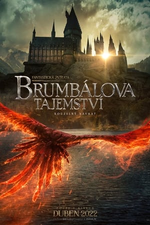 Fantastic Beasts: The Secrets of Dumbledore poster 4