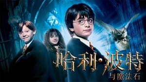 Harry Potter and the Sorcerer's Stone image 8