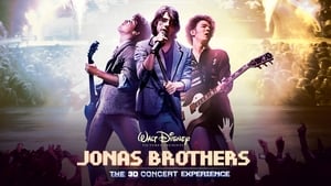 Jonas Brothers Concert image 7