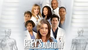 Grey's Anatomy, Season 17 image 3