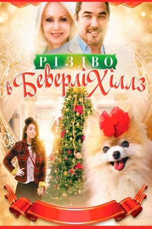 Beverly Hills Christmas poster 4