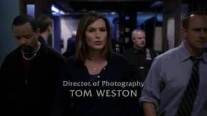 Law & Order: SVU (Special Victims Unit), Season 11 - Users image