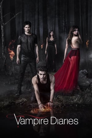 The Vampire Diaries, Season 2 poster 1