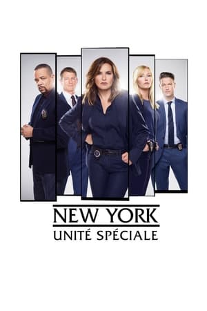 Law & Order: SVU (Special Victims Unit), Season 11 poster 1