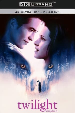 The Twilight Saga: Breaking Dawn - Part 1 poster 4