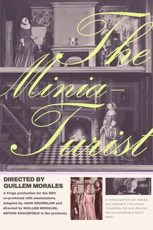 The Miniaturist, Season 1 poster 3
