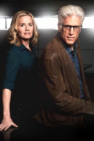 CSI: Crime Scene Investigation, Season 10 poster 0