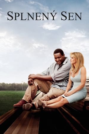 The Blind Side poster 2
