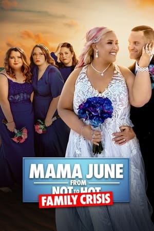 Mama June: From Not to Hot, Vol. 1 poster 1