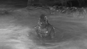 Creature from the Black Lagoon (1954) image 6