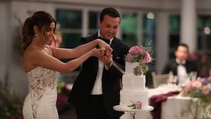 Married At First Sight, Season 9 - Episode 14 image
