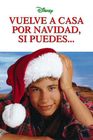 I'll Be Home For Christmas poster 1