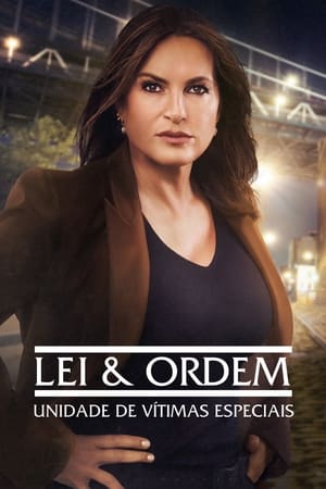 Law & Order: SVU (Special Victims Unit), Season 8 poster 2