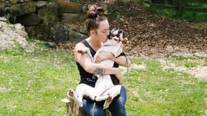 Pit Bulls and Parolees, Season 14 - Escaping Death image