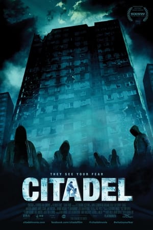 Citadel poster 2