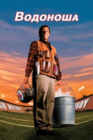 The Waterboy poster 4