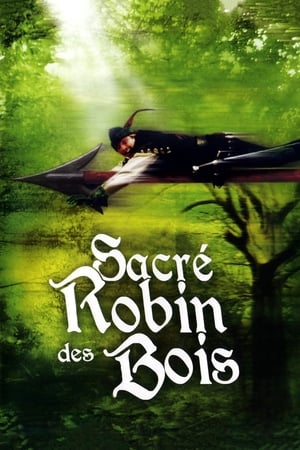 Robin Hood: Men In Tights poster 3