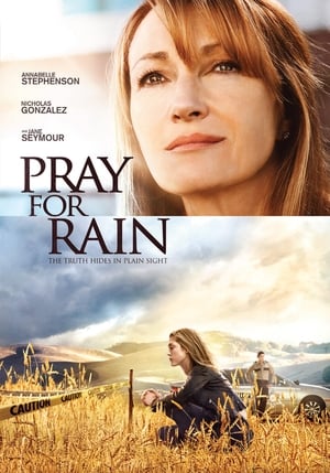 Pray for Rain poster 3