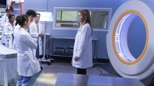 Grey's Anatomy, Season 19 - Everything Has Changed image