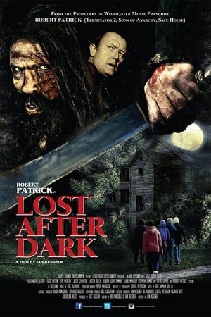 Lost After Dark poster 1