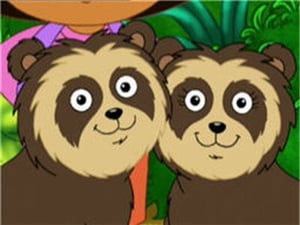 Go, Diego, Go!, Vol. 1 - Chito and Rita the Spectacled Bears image