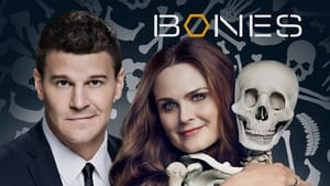 Bones, The Complete Series image 1