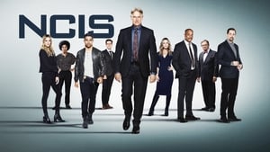 NCIS, Season 2 image 0